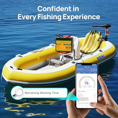 Vue 3 de Ecoworthy Bluetooth Batterie Lithium