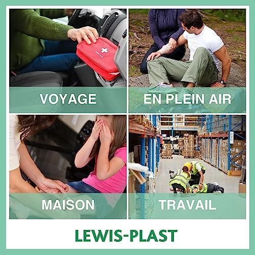 Vue 6 de Lewisplast Pieces De Premiers