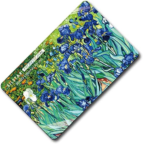 Vue 3 de Silstar Professional Miroir De