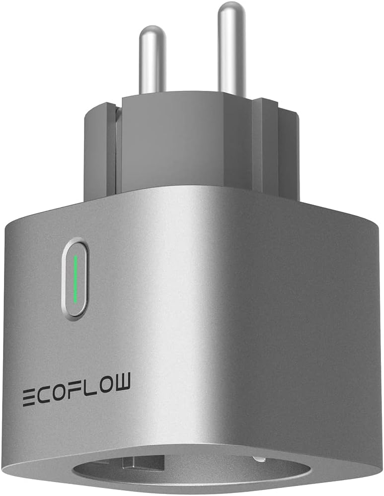 Smart Plug Ecoflow Prise