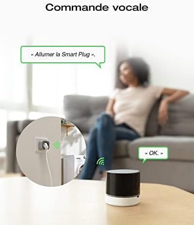 Vue 4 de Smart Plug Ecoflow Prise