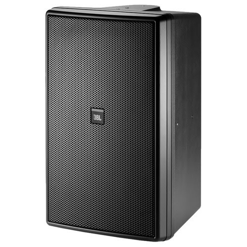 JBL Control 31 10" 2-Way Monitor Speaker