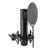 sE Electronics sE2300-U Large-diaphragm Condenser Microphone with accessories