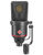 Neumann TLM 170 R Multi-Pattern Studio Condenser Microphone