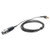 Countryman H6 Headset Cable Black XLR