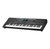 Alesis Harmony 61 Pro 61-Key Portable Keyboard