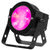 ADJ DOTZ PAR RGBL LED Wash Light magenta