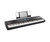 Alesis Recital Pro 88-Key Hammer-Action Digital Piano