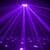 ADJ Aggressor Hex LED lifestyle violet