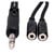 Hosa YMP-234 1/4 TRS to Dual 3.5mm TRSF Y Cable ends