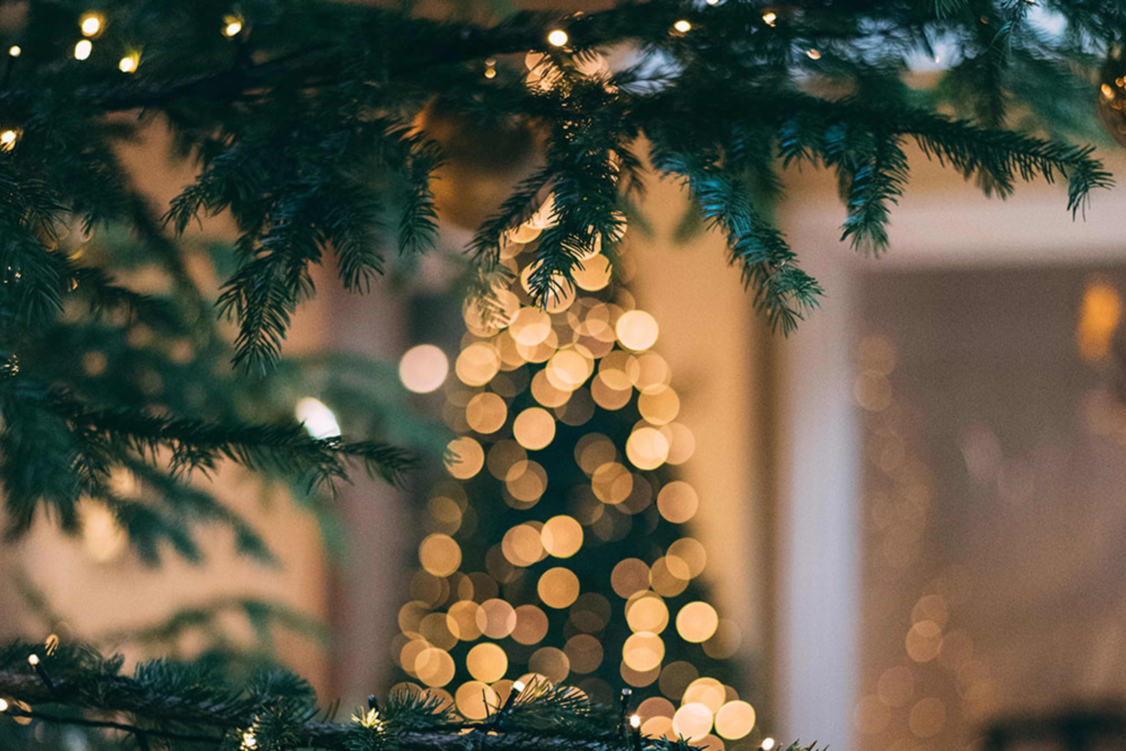 Holiday Activities Near Downtown Chicago