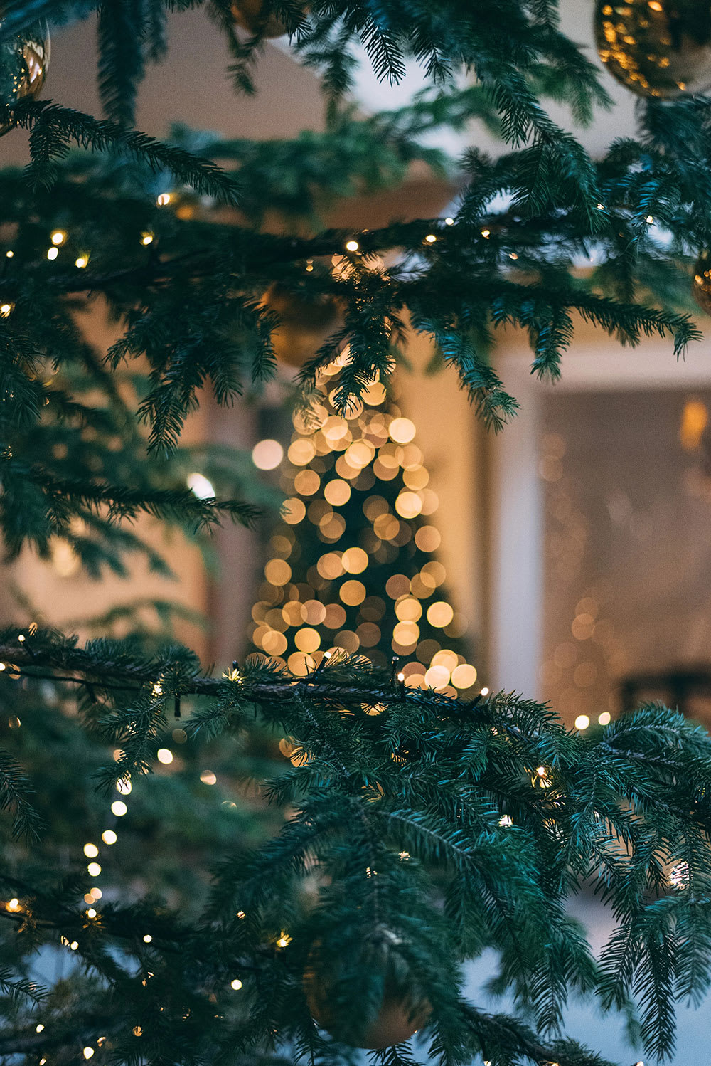 Holiday Activities Near Downtown Chicago