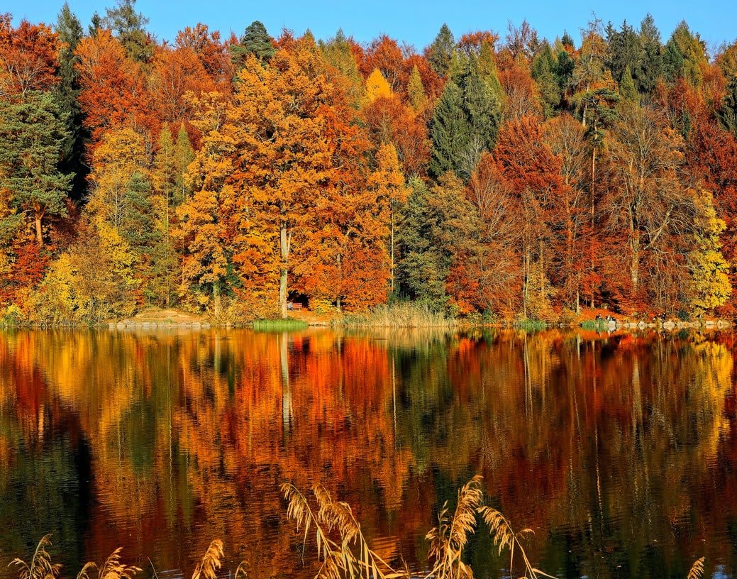 Fall Activities Near Downtown Chicago
