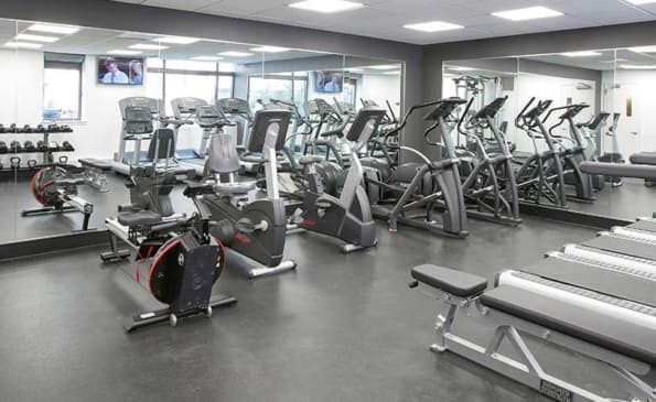 Modern gym with rows of stationary bikes, ellipticals, and treadmills on gray flooring under bright ceiling lights.