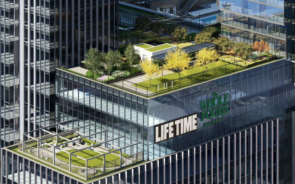 Elevated rooftop garden with trees, shrubs, and green lawn surrounded by modern glass and steel high-rise buildings.