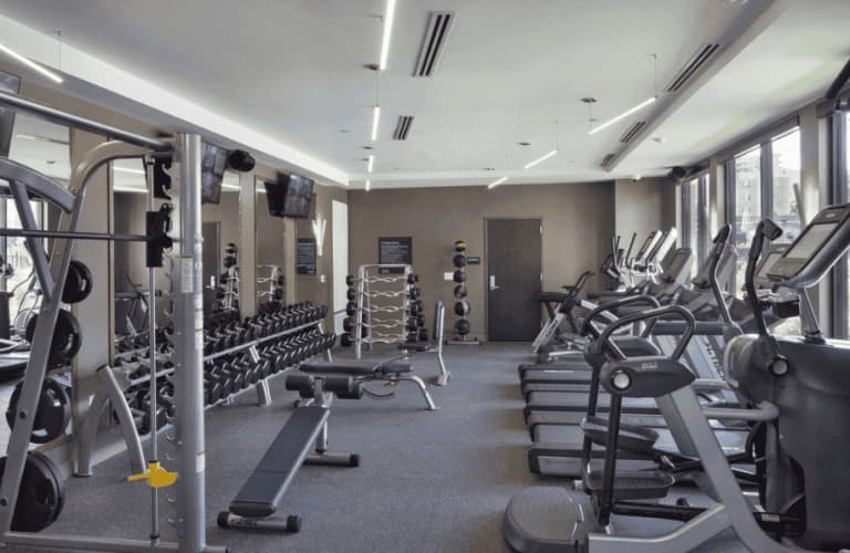 Modern gym with cardio machines, dumbbell racks, and weight benches under bright ceiling lights and large windows.