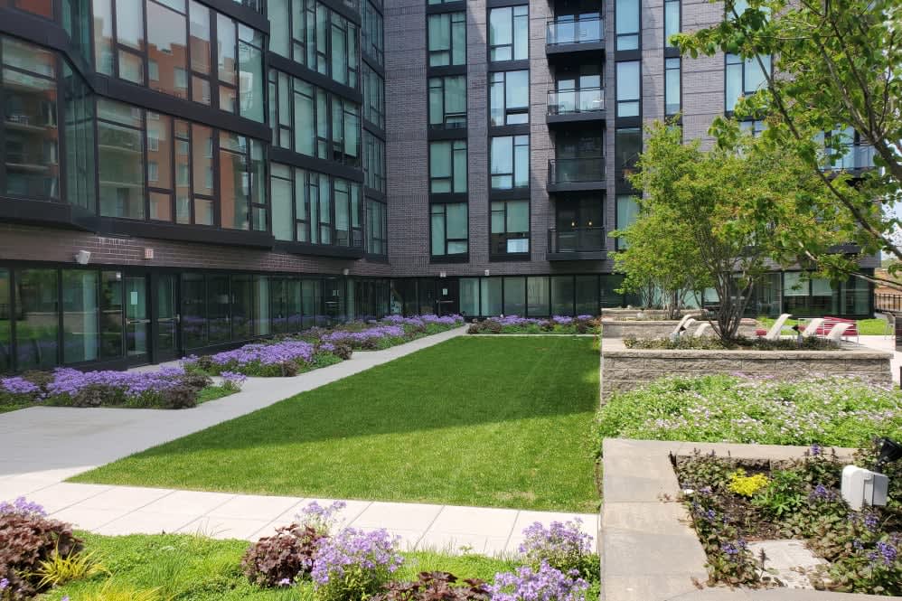 Courtyard with green lawn, purple flowers, concrete pathways, and modern multi-story brick building with large windows.