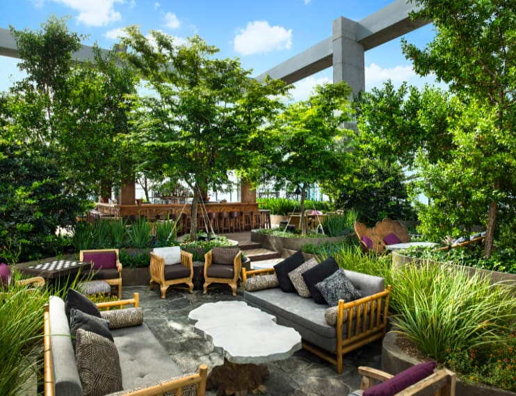 Rooftop terrace with wooden lounge chairs, purple cushions, mature trees, and concrete pergola structure under blue sky.
