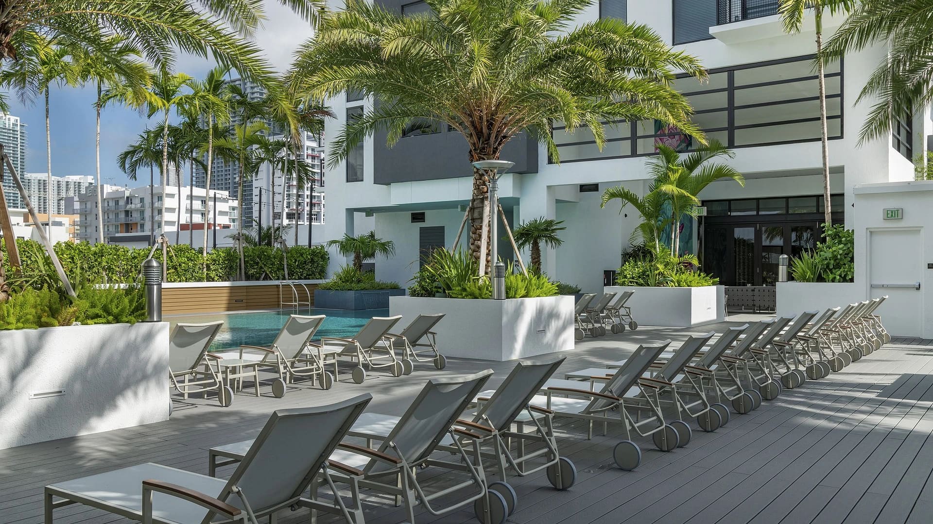 Pool deck with rows of lounge chairs, small pool, palm trees, white building, and downtown Miami skyline in background.