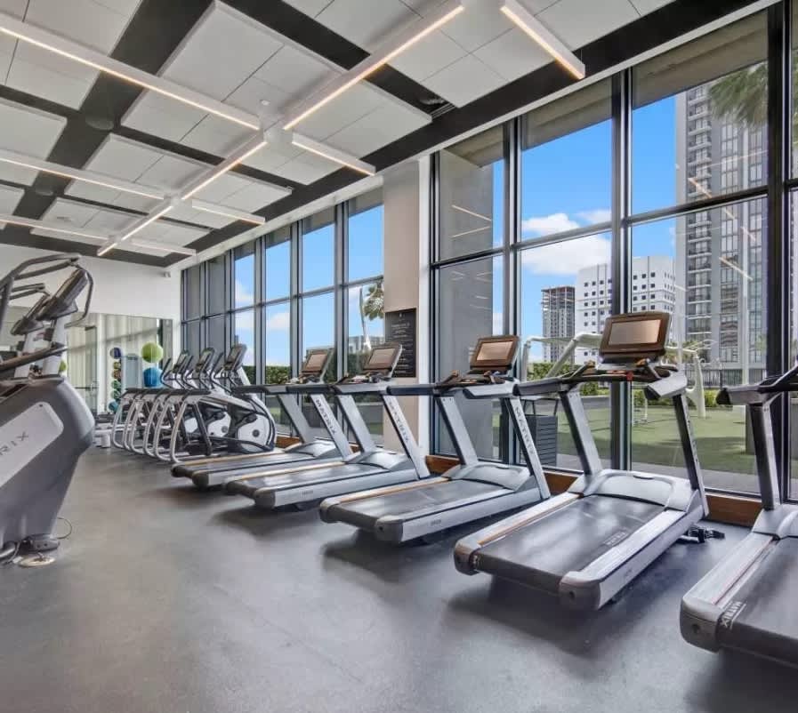 Modern gym with rows of treadmills and exercise bikes facing expansive windows with city views and geometric ceiling lighting.