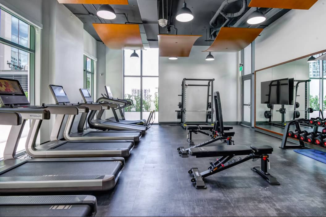 Modern gym with row of treadmills on left, free weights and benches in center, mirrored wall on right, orange ceiling panels, large windows overlooking city.