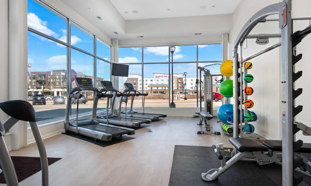 Fitness center with three treadmills, exercise bikes, weight rack with colorful dumbbells, and large windows with city views.
