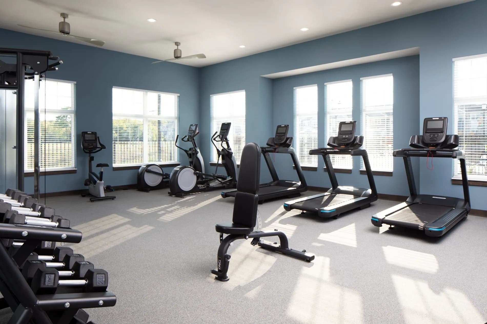 Fitness center with three treadmills, stationary bikes, dumbbells, and exercise equipment arranged on gray flooring beneath blue walls and large windows with city views.