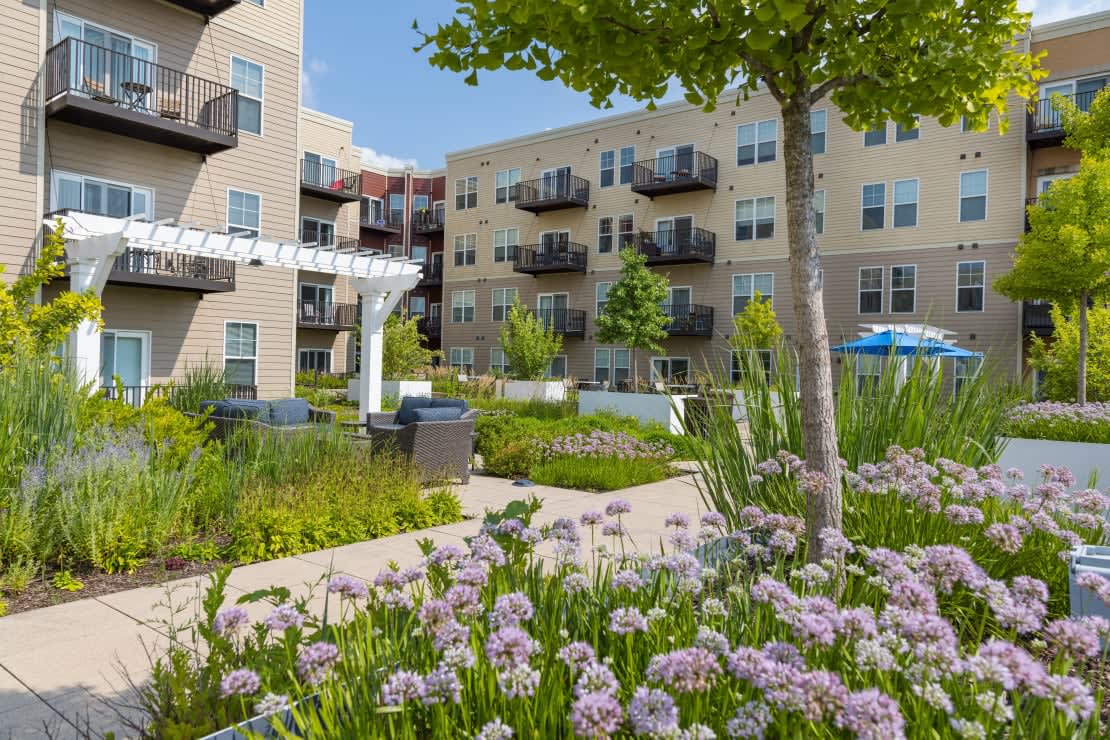 Courtyard with purple flowering plants, mature tree, concrete pathway, seating area, and multi-story apartment buildings with balconies.