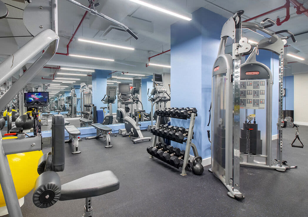 Modern gym with cardio machines, dumbbell racks, weight machines, and blue accent walls under bright overhead lighting.