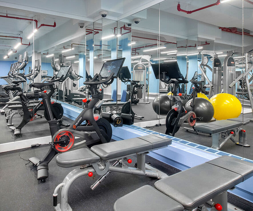 Modern gym with stationary bikes, weight benches, exercise balls, and mirrored walls under bright overhead lighting.