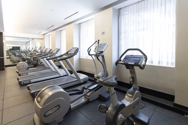 Fitness center with rows of treadmills and elliptical machines, bright windows with sheer curtains, light wood and tile flooring.