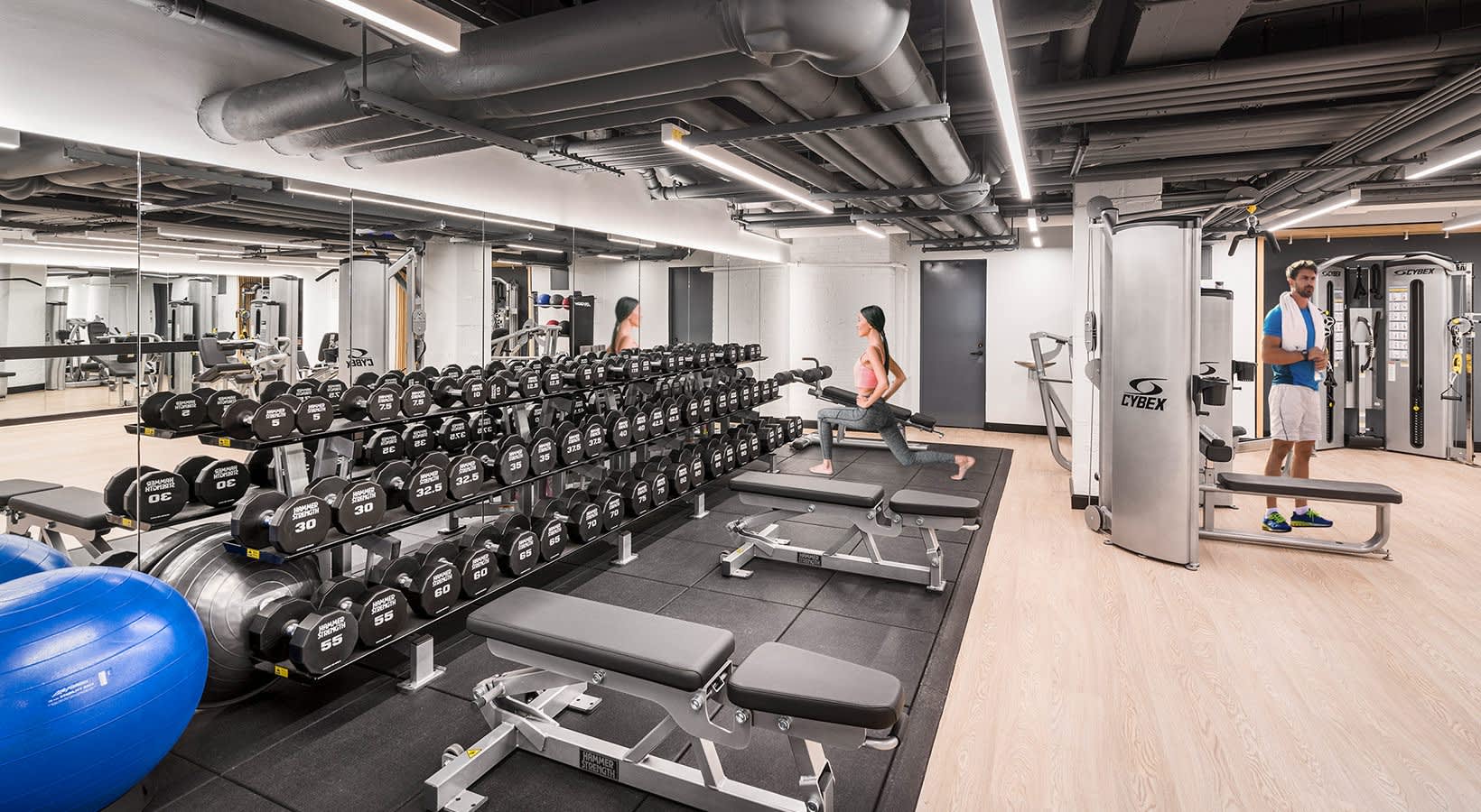 Modern gym with rows of black dumbbells, weight benches, exercise balls, and cardio equipment; multiple people working out in the background.