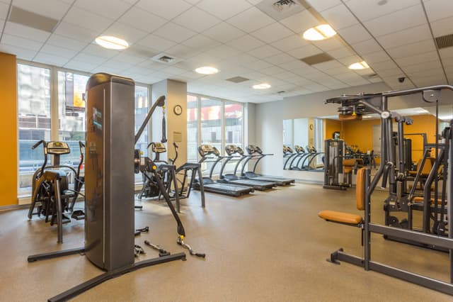 Modern gym with rows of treadmills, stationary bikes, weight machines, and large windows overlooking the street.