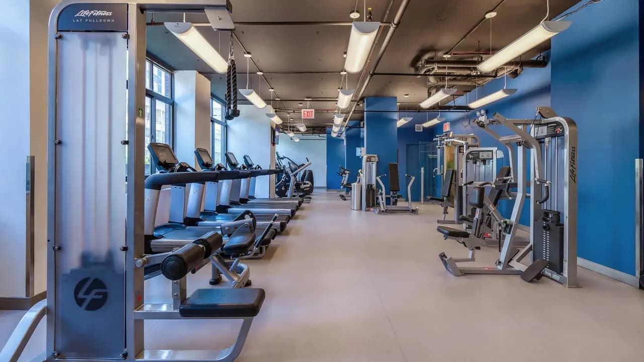 Modern gym with rows of treadmills on left, weight machines on right, blue walls, and large windows with natural light.