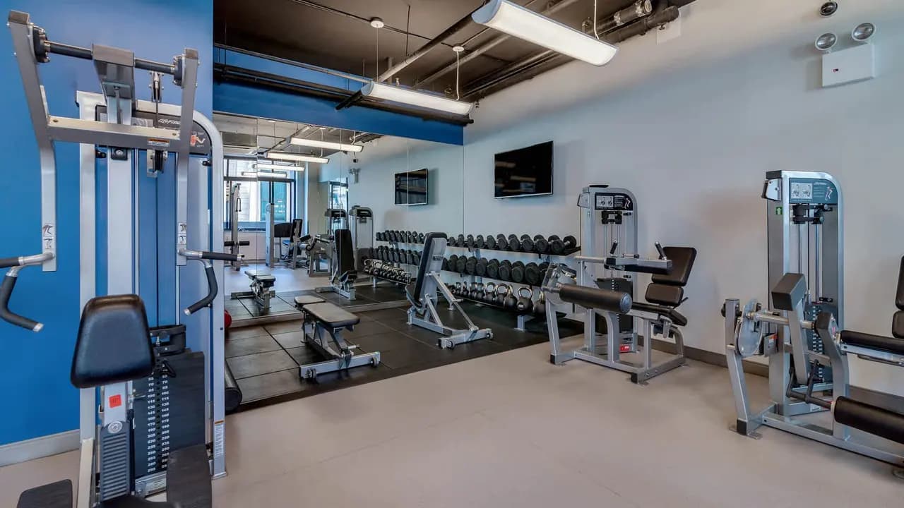 Modern gym with blue accent wall, rows of dumbbells, cardio machines, and weight training equipment under bright ceiling lights.