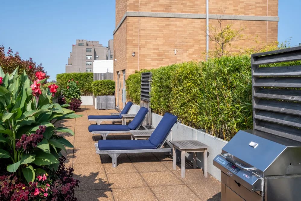 Rooftop terrace with four blue lounge chairs, potted red flowers, green hedges, stainless steel grill, and brick building backdrop.