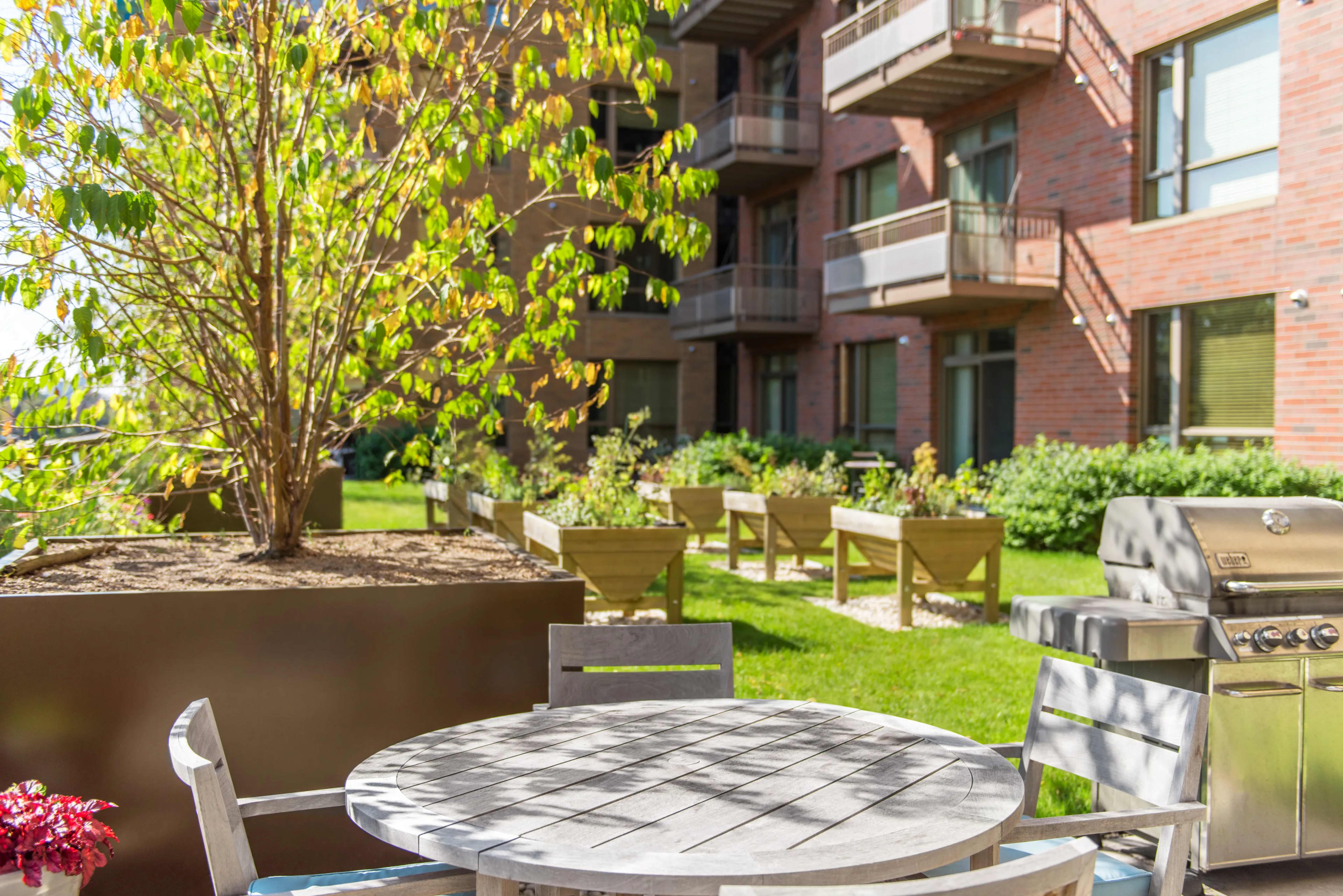 Outdoor courtyard with round dining table, built-in grill, lounge chairs, and mature tree in foreground, brick residential buildings in background.