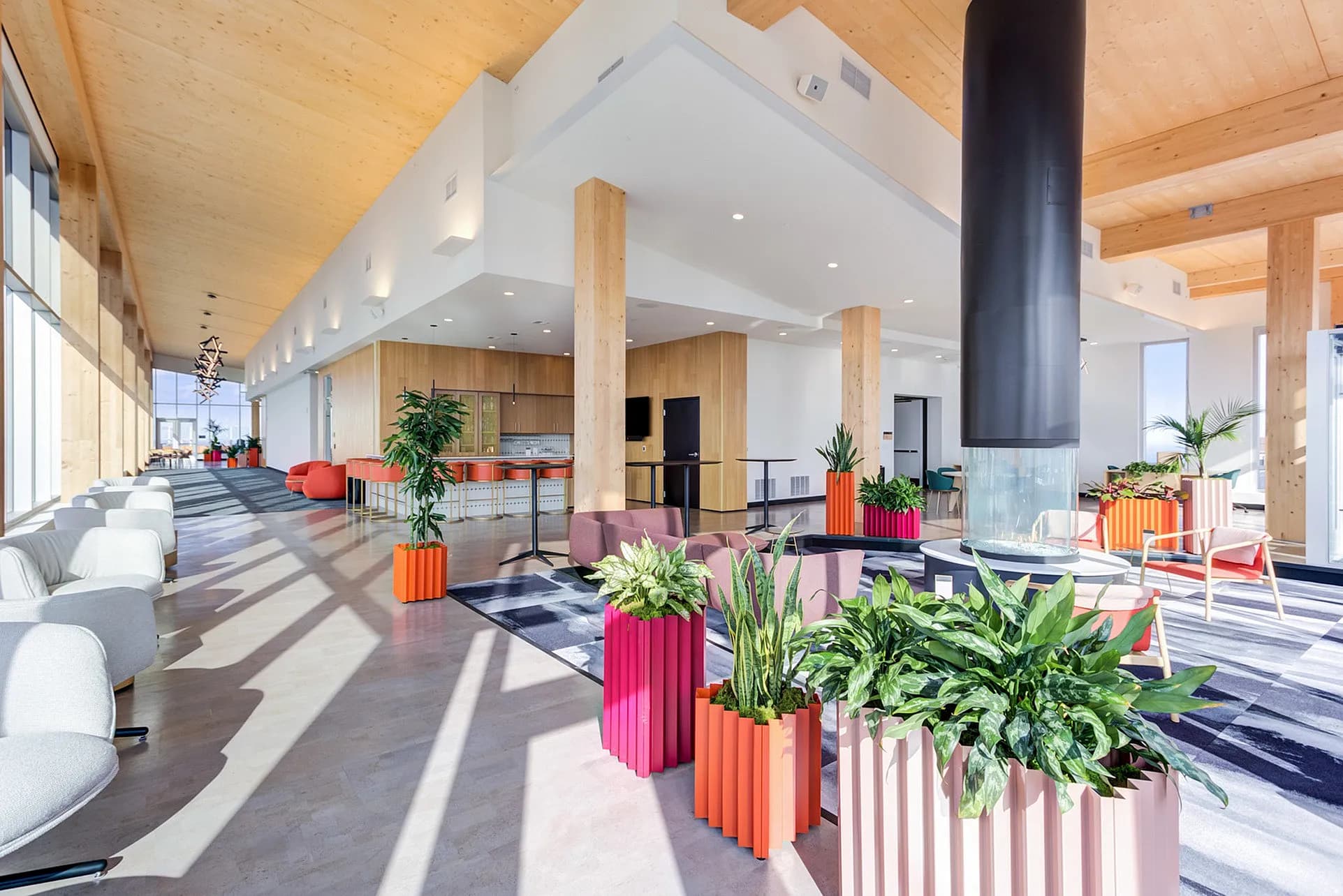 Modern lobby with exposed wood ceiling beams, white walls, colorful planters with greenery, purple seating, and large windows with natural light.
