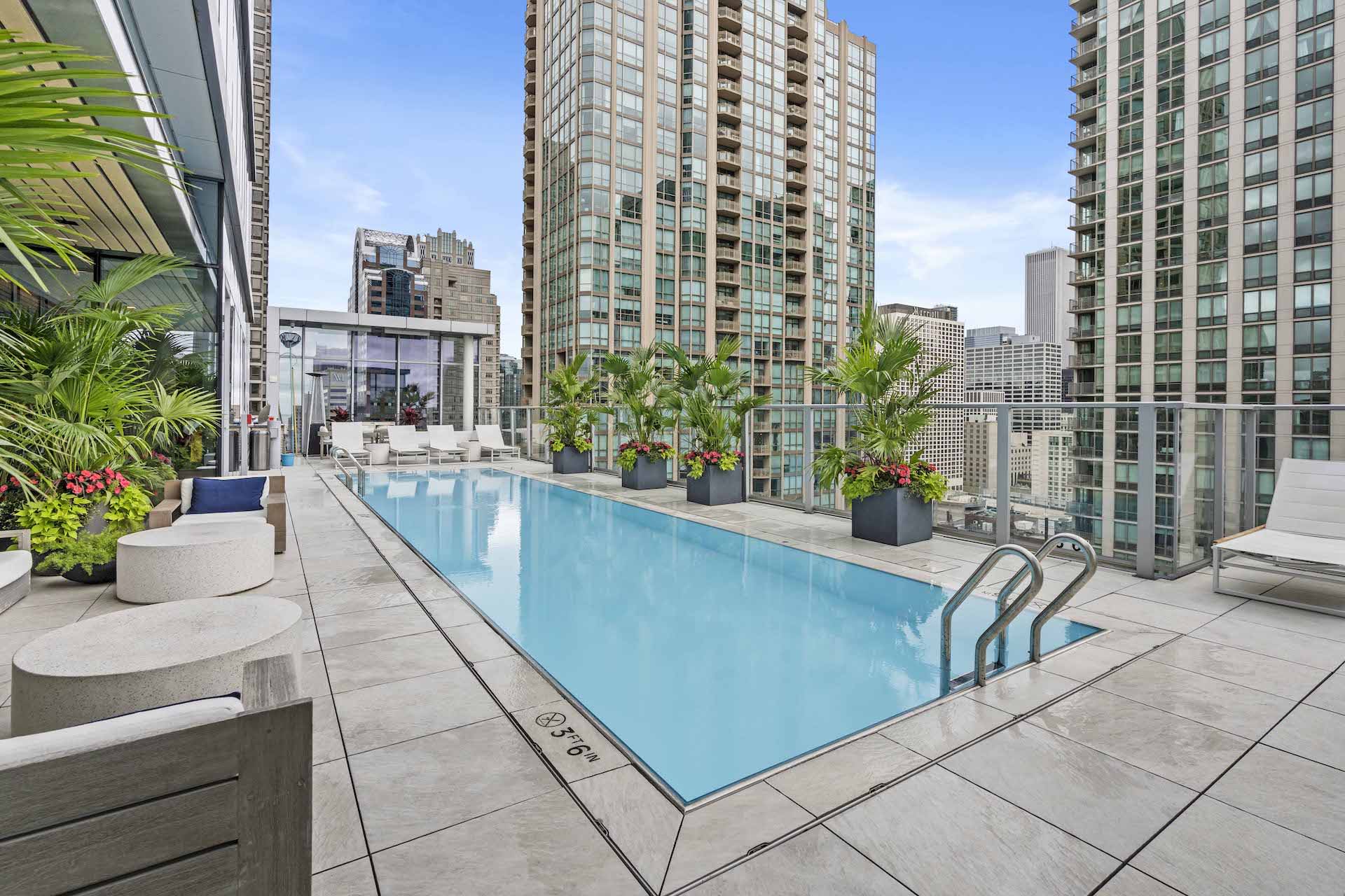 Rooftop swimming pool with lounge chairs, palm plants, and downtown Chicago skyline views.