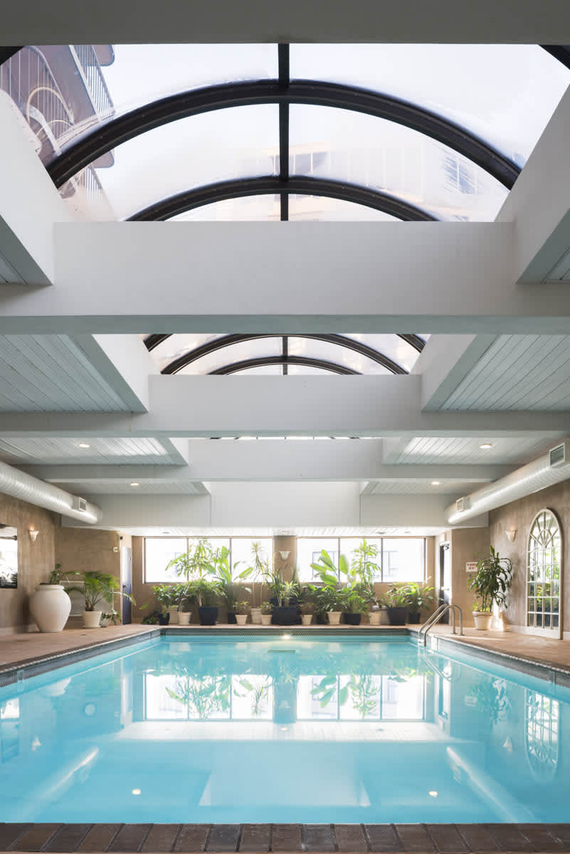 Indoor swimming pool with curved black skylights, white ceiling beams, potted plants along windows, and wood-paneled walls.