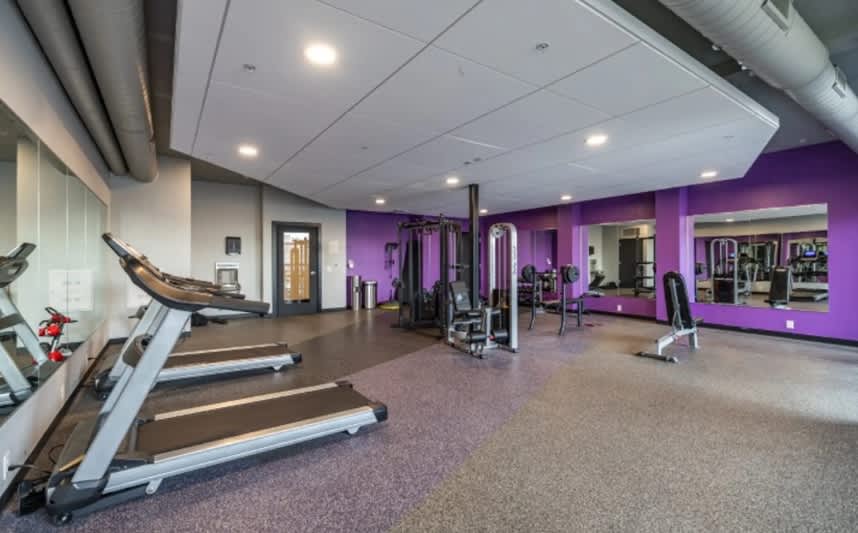 Fitness center with treadmills, weight machines, purple accent walls, and mirrors.