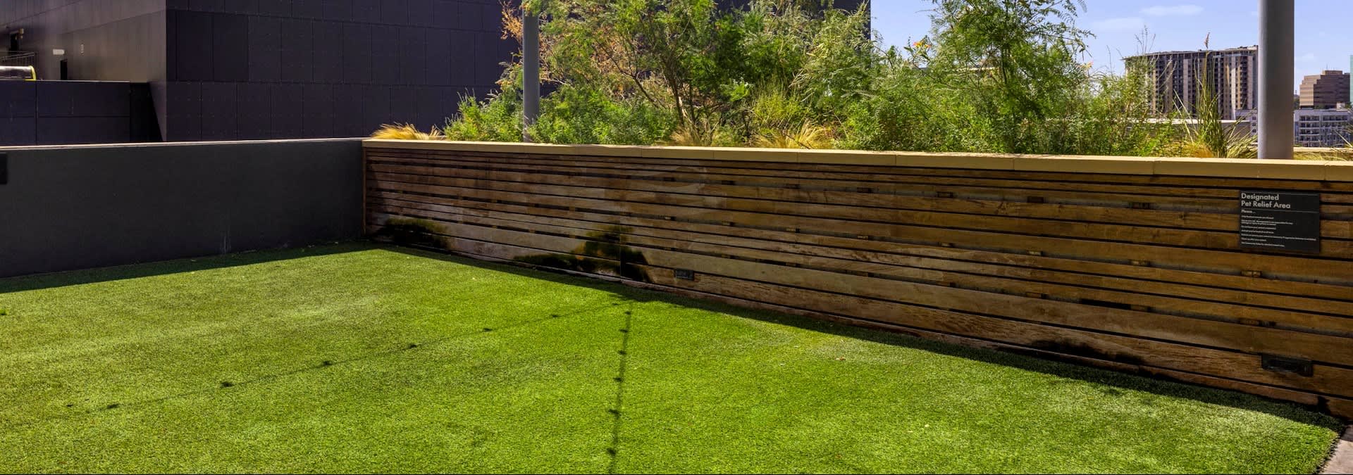 Rooftop terrace with bright green artificial turf, dark wooden privacy fence, and downtown Austin skyline in background.