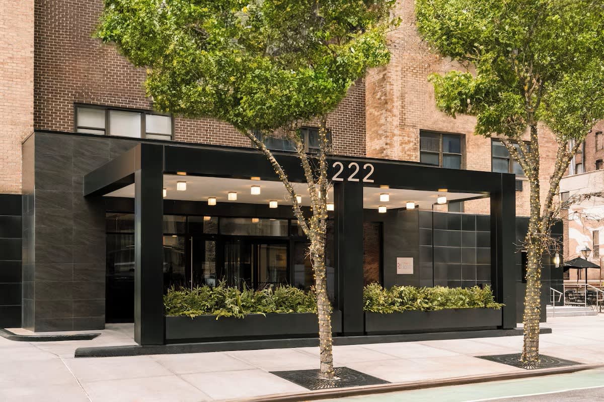 Black contemporary building entrance with large windows, address 222, birch trees, and green planters on brick facade.