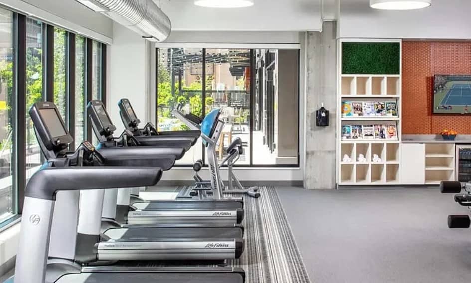 Fitness center with row of treadmills facing large windows overlooking city, white shelving with decor on right wall, concrete columns and bright overhead lighting.