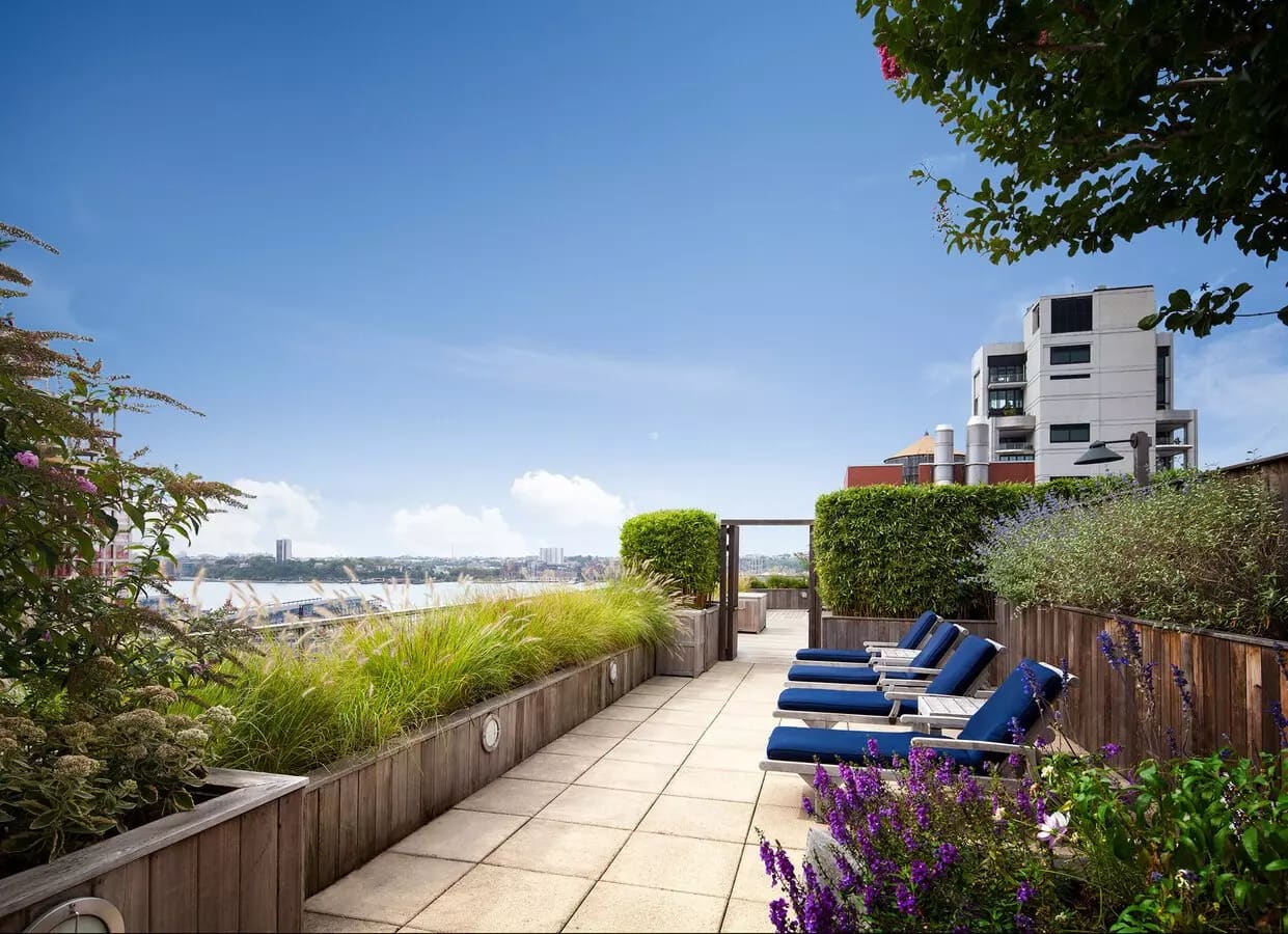 Rooftop terrace with blue lounge chairs, purple flowering plants, wooden fencing, and distant water and city skyline views.