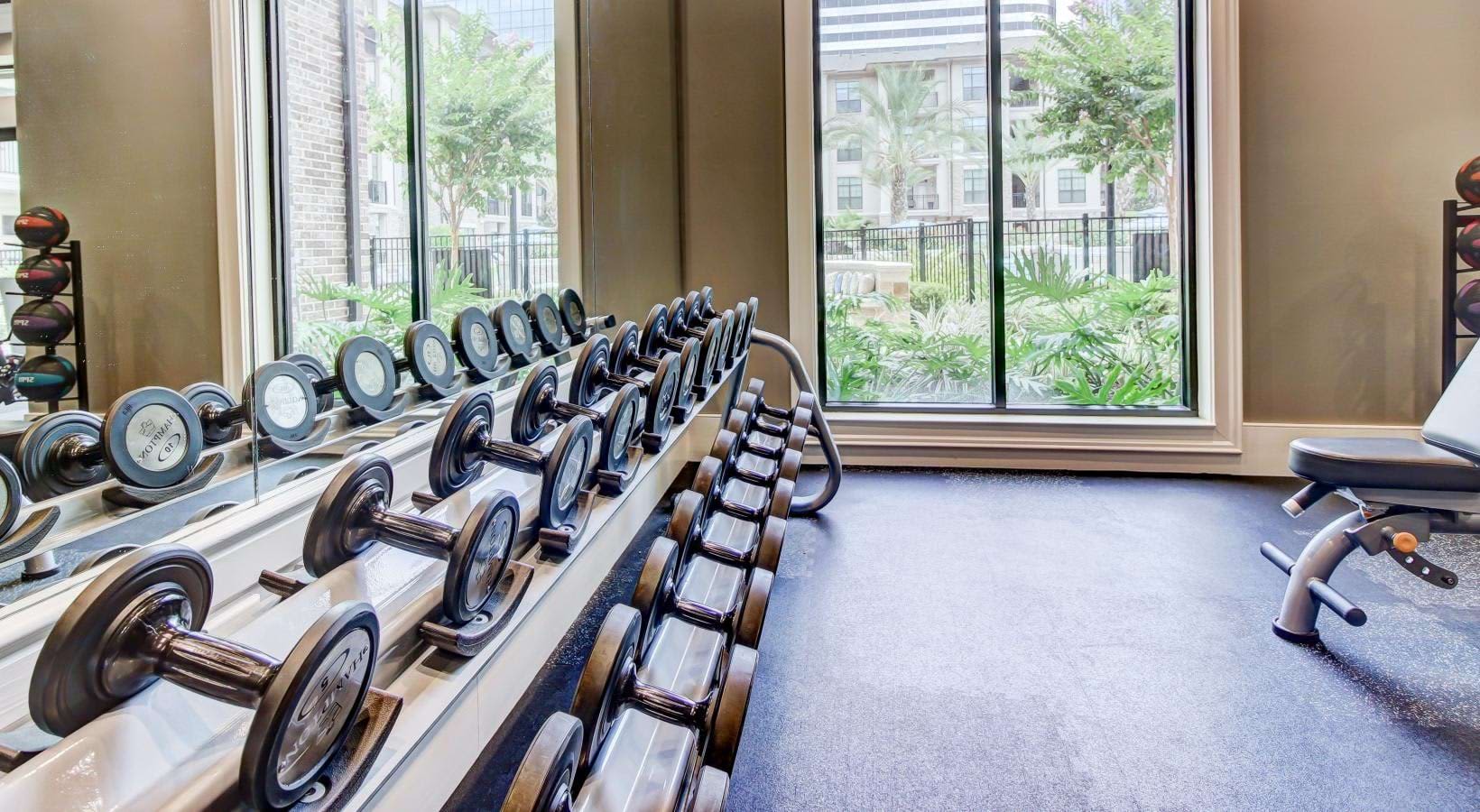 Fitness center with organized dumbbell racks along mirrored wall and cardio equipment, large windows with city views.