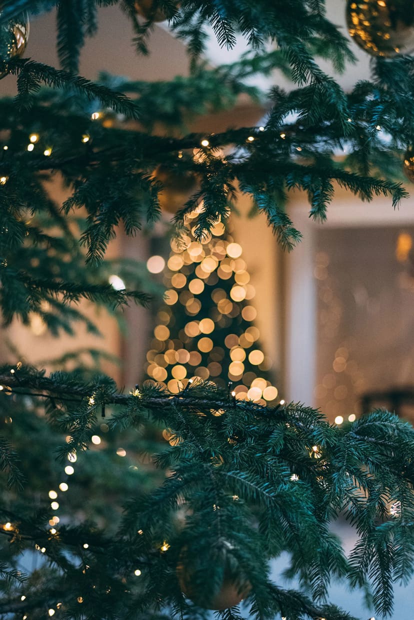 Holiday Activities Near Downtown Chicago