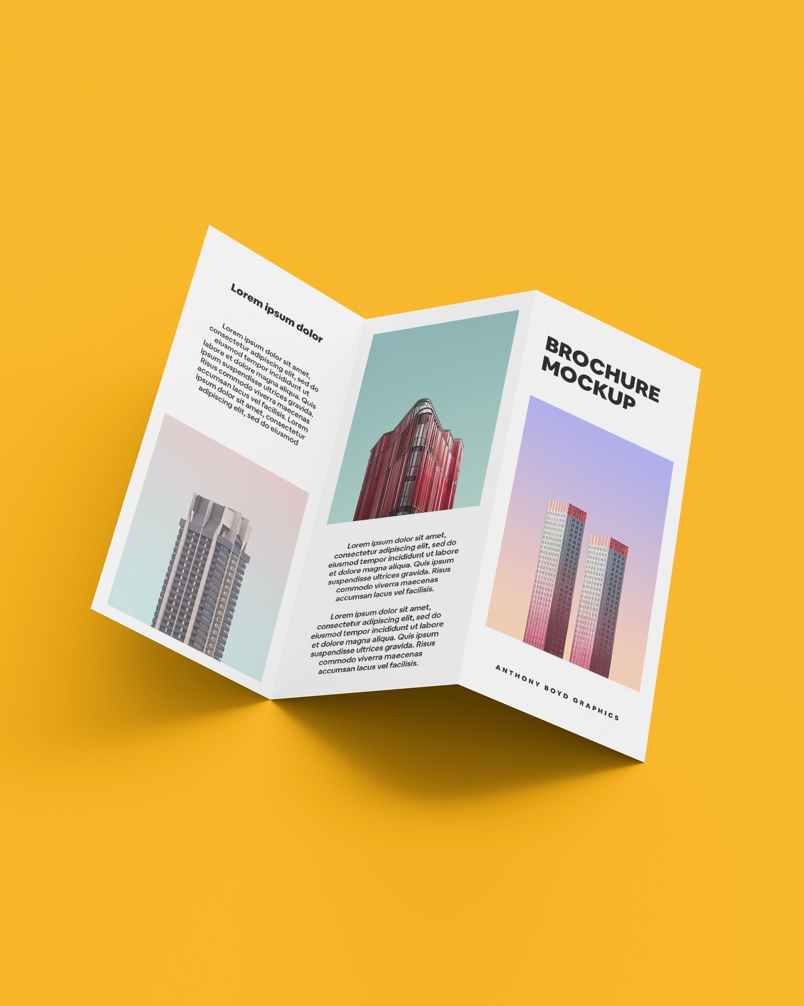 placeholder | HEXAS Web Design & Softawre Development