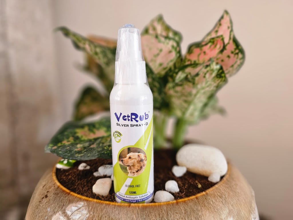 வெட்ரப் சில்வர் ஸ்பேரி – டி