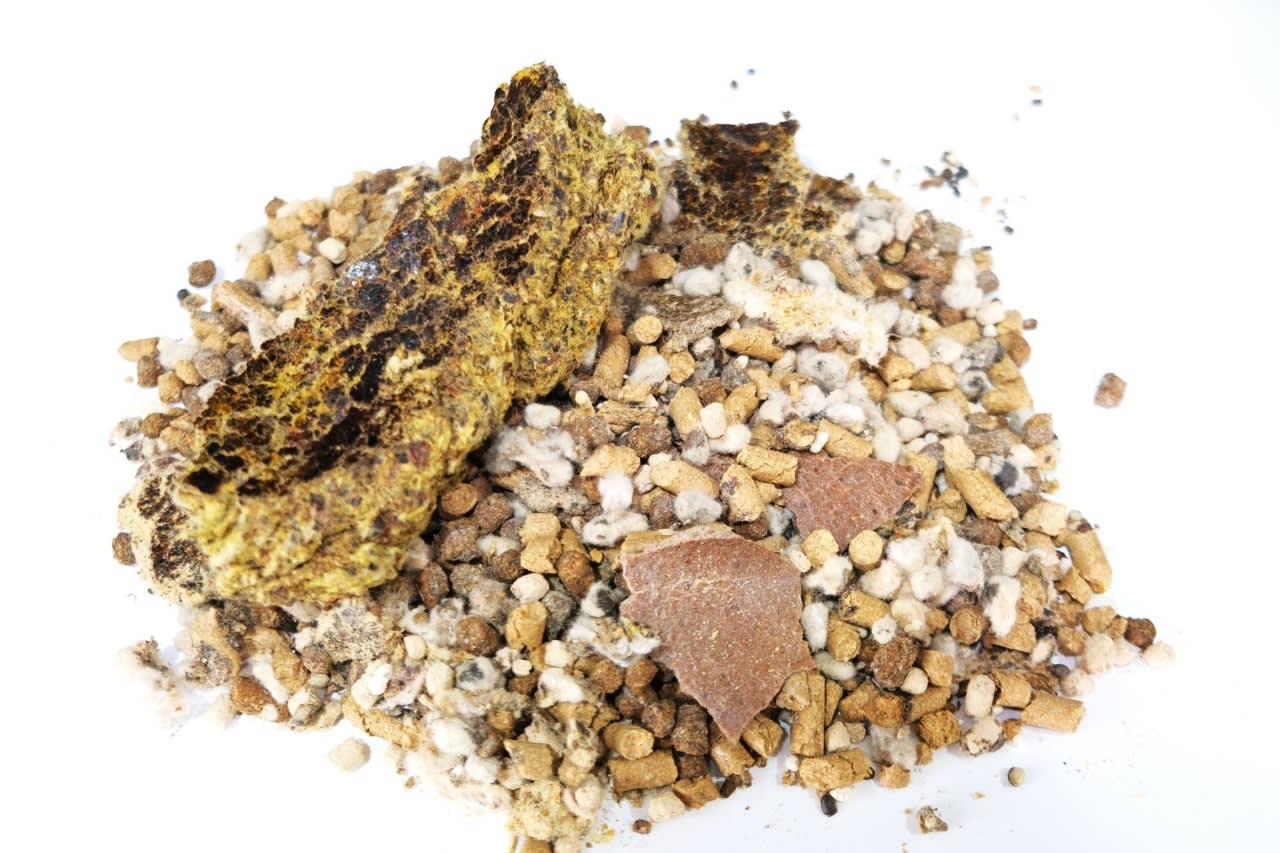 கால்நடை தானிய கலவை